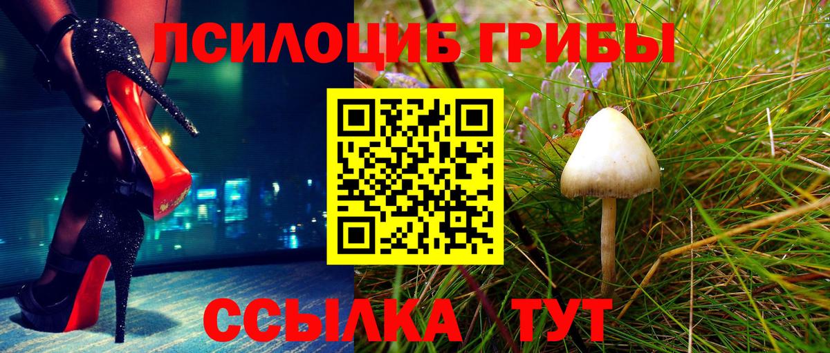 Сердобск  Галлюциногенные грибы MAGIC MUSHROOMS  Вход с VPN 